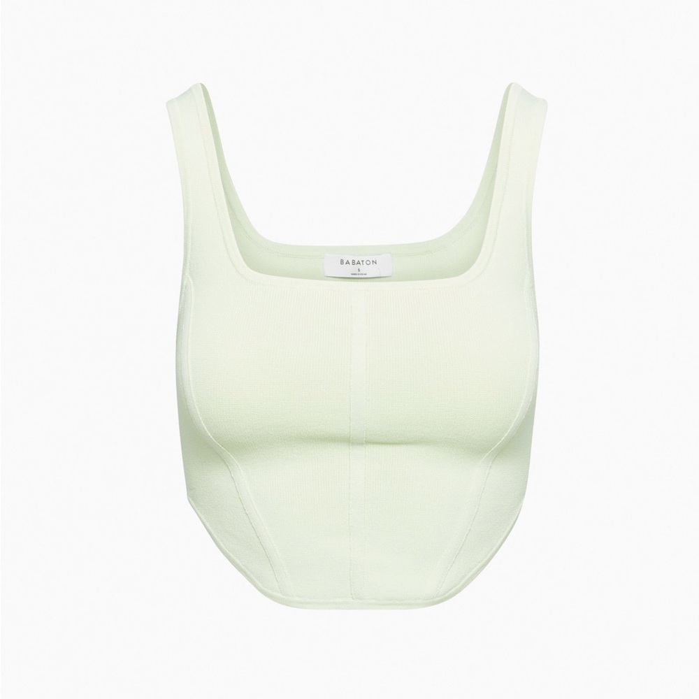 Babaton Aritzia Sage Mint Scuplt Knit Bustier Top